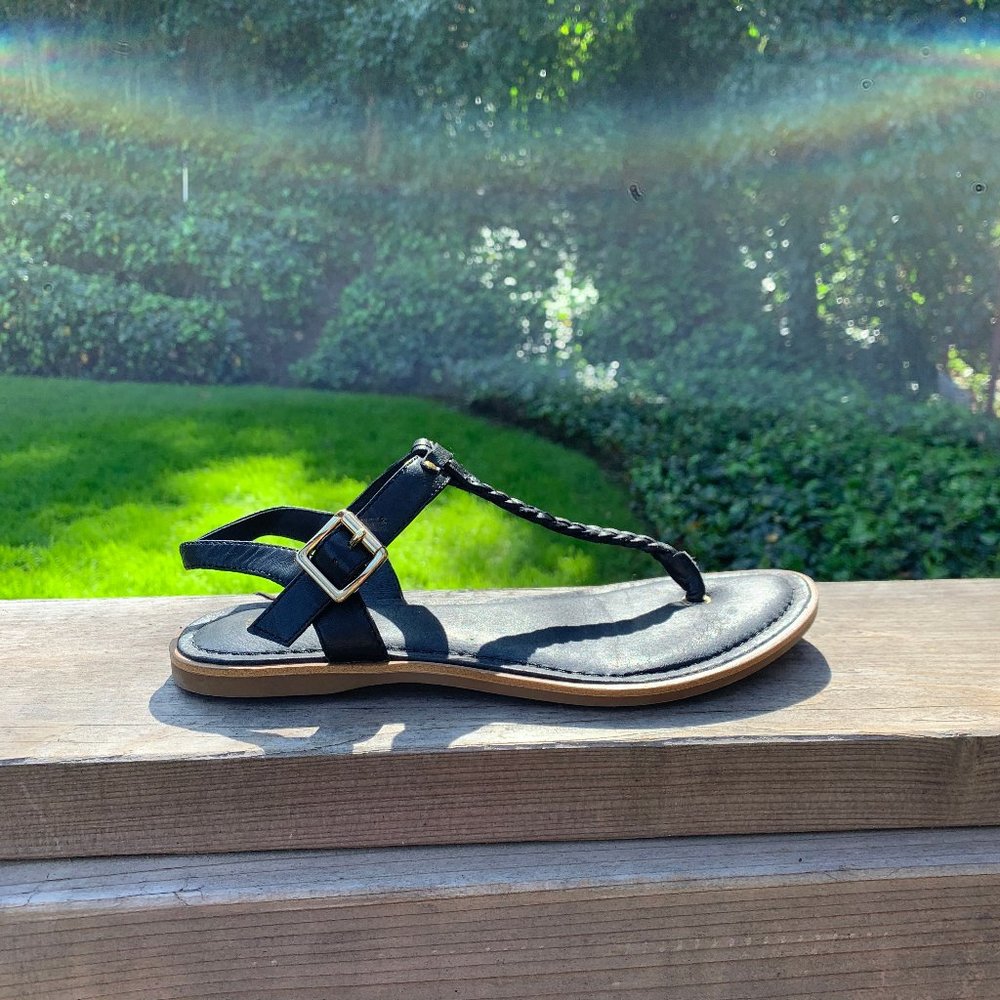 Sperry Top Sider: Virginia